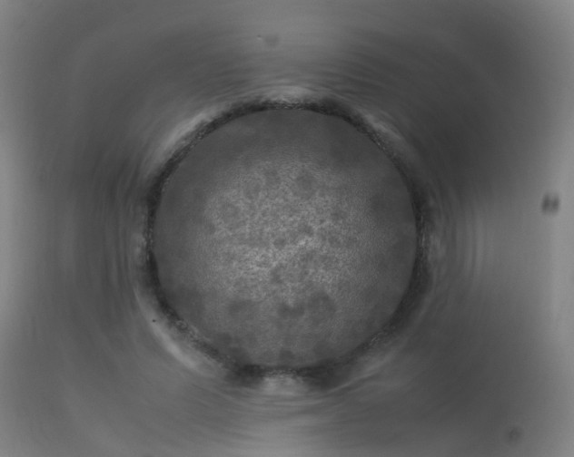 X0000113290591200909211105