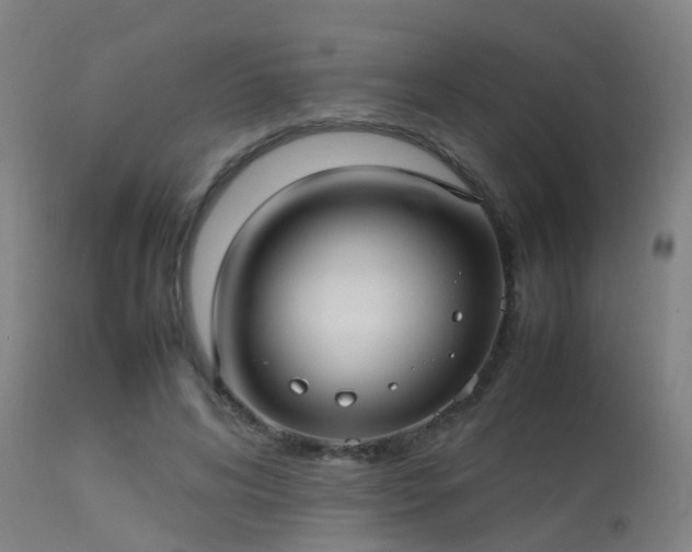 X0000113290592200909211105