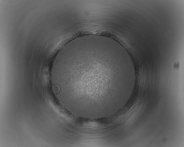 X0000113290594200909211105