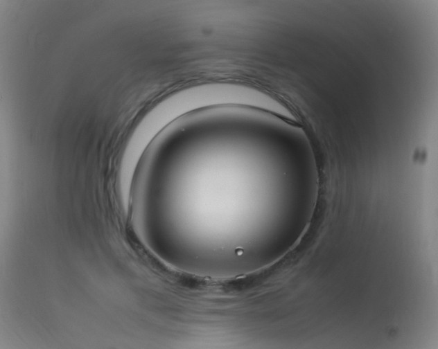 X0000113290597200909211105