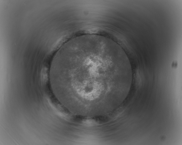 X0000113290598200909211105