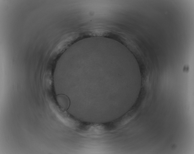 X0000113290599200909211105