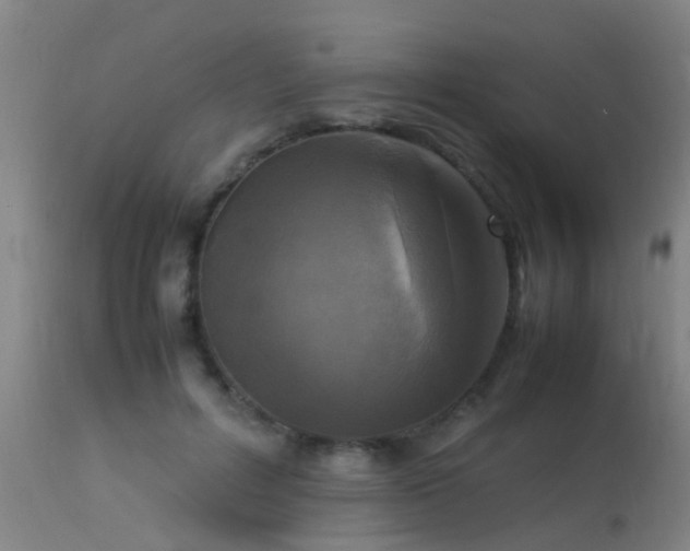 X0000113290600200909211105