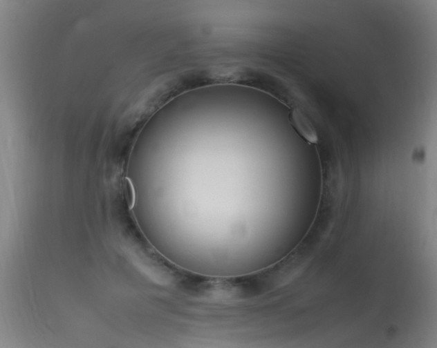 X0000113290601200909211105