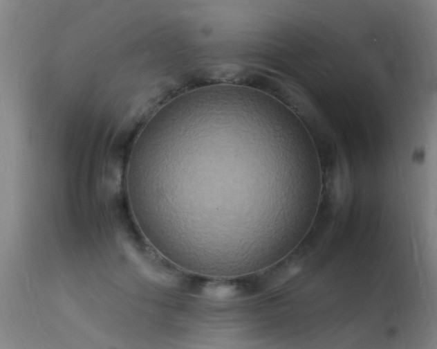 X0000113290602200909211105