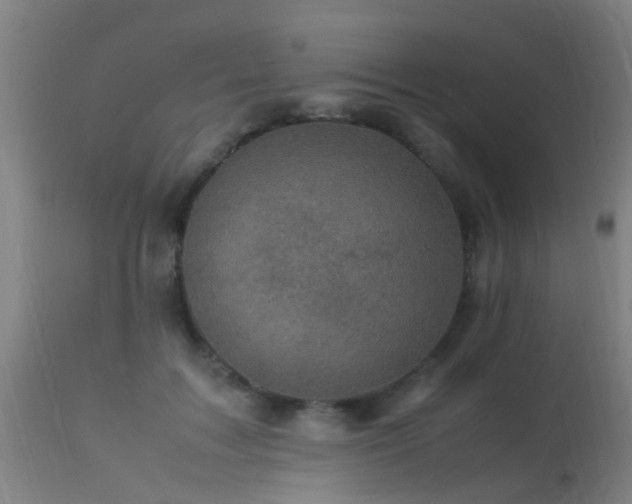 X0000113290603200909211105