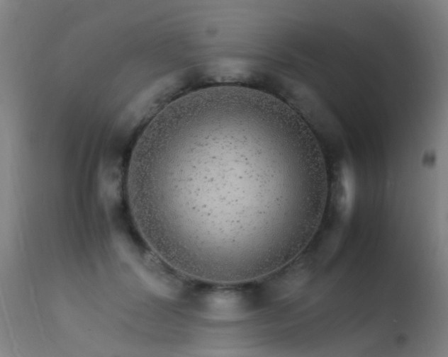 X0000113290604200909211105