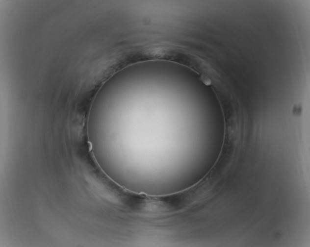 X0000113290605200909211105