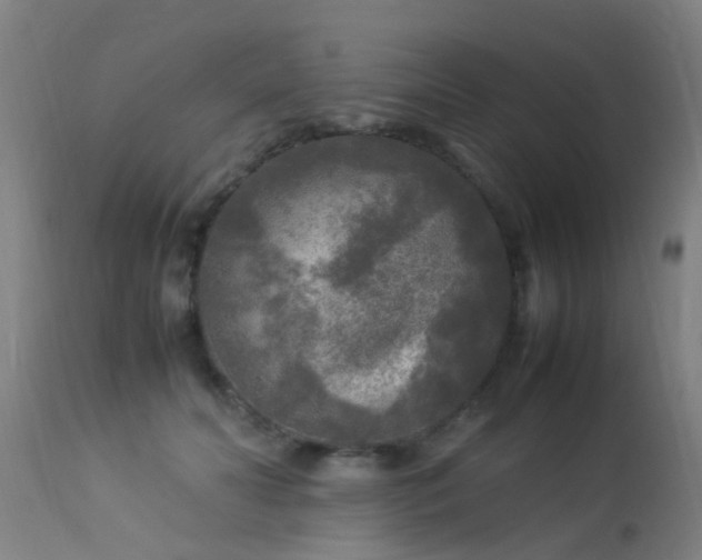 X0000113290606200909211105