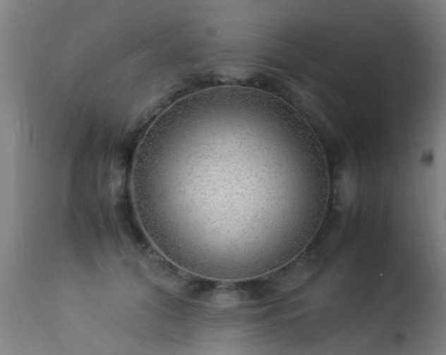 X0000113290608200909211105