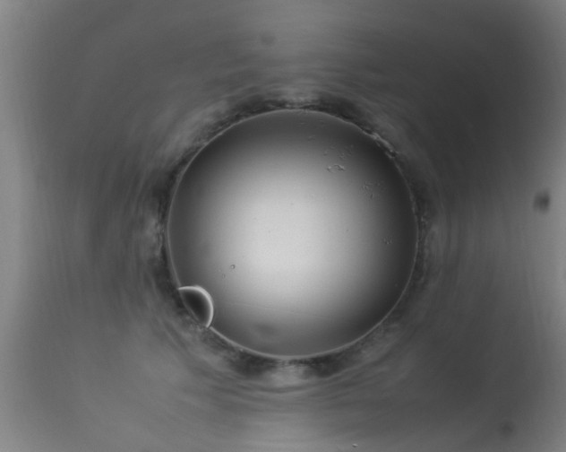 X0000113290609200909211105