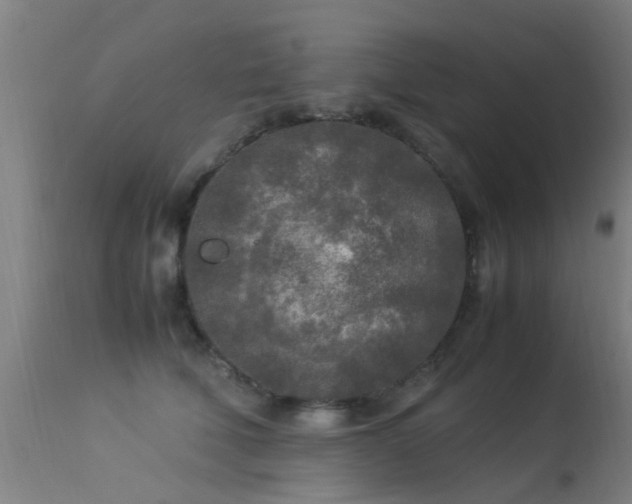 X0000113290610200909211105