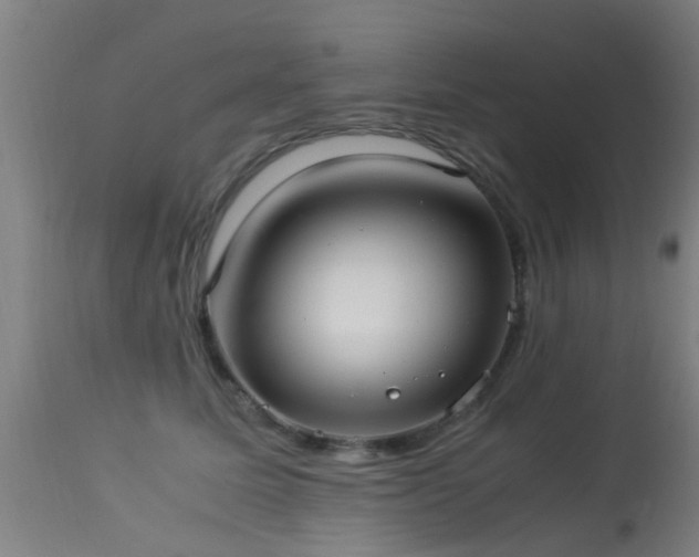 X0000113290611200909211105