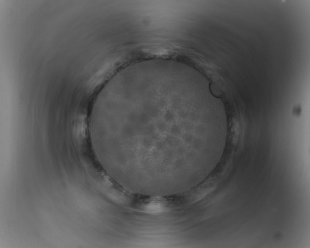 X0000113290612200909211105