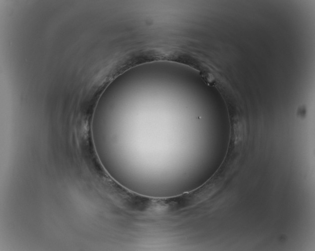 X0000113290613200909211105