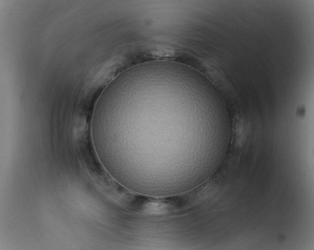 X0000113290614200909211105