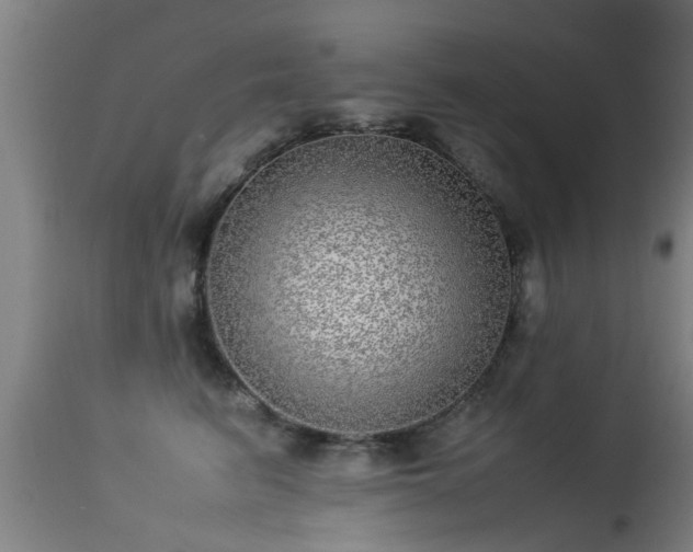 X0000113290615200909211105