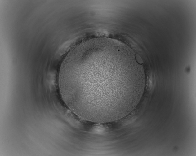 X0000113290616200909211105