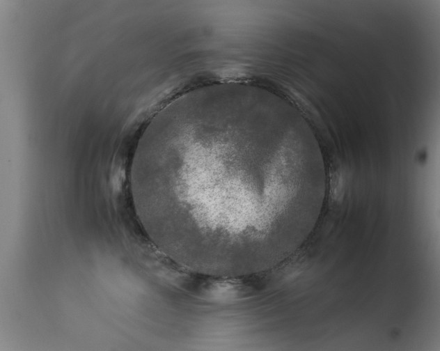 X0000113290618200909211105