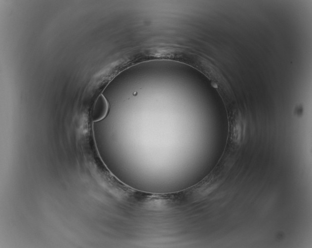 X0000113290620200909211105