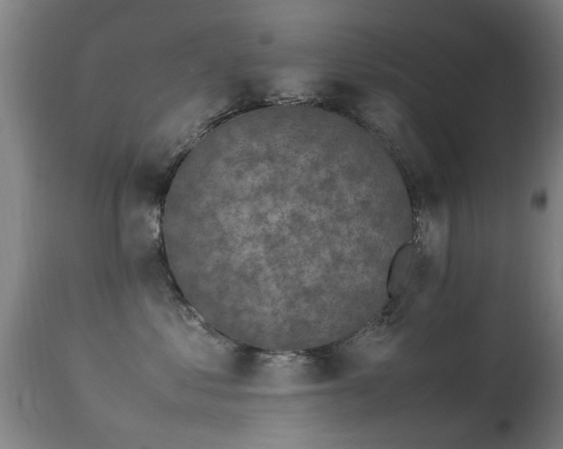 X0000113290621200909211105