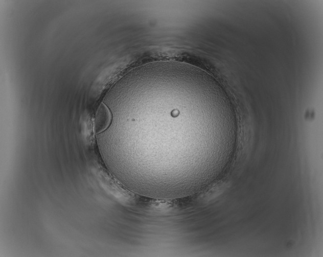 X0000113290624200909211105