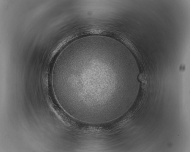 X0000113290626200909211104