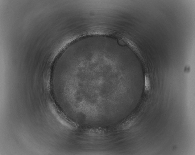 X0000113290627200909211104