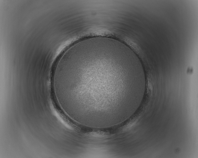 X0000113290630200909211104