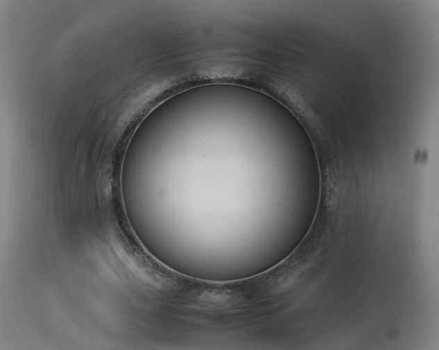 X0000113290631200909211104