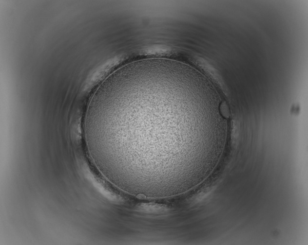 X0000113290633200909211104