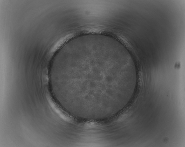 X0000113290634200909211104