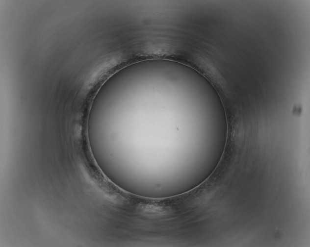 X0000113290635200909211104