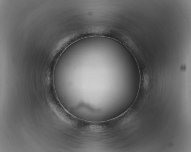 X0000113290636200909211104