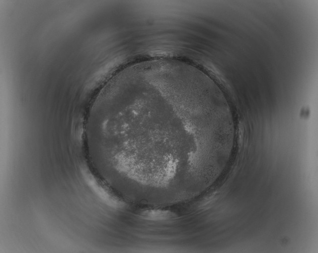 X0000113290637200909211104