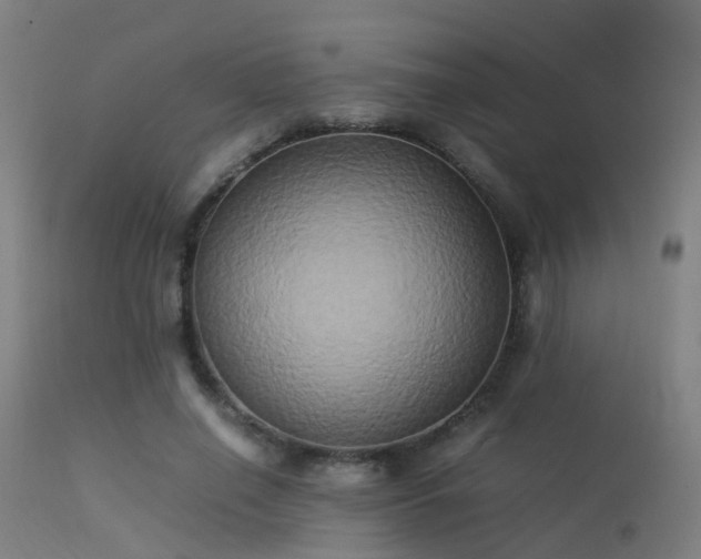 X0000113290638200909211104