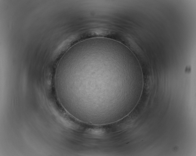 X0000113290639200909211104