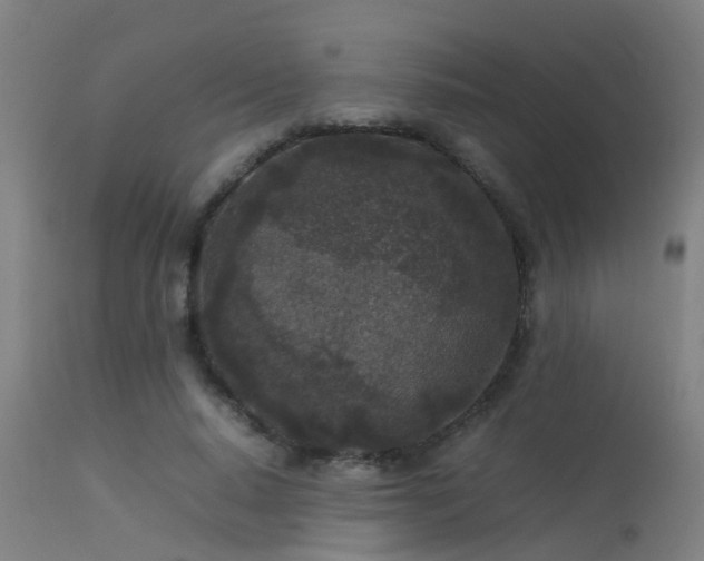 X0000113290640200909211104