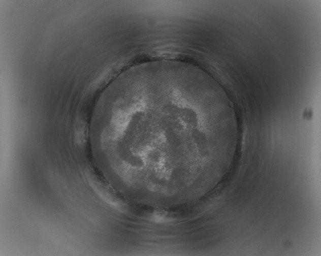 X0000113290641200909211104