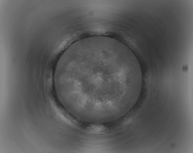 X0000113290642200909211104