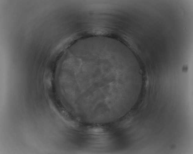 X0000113290643200909211104