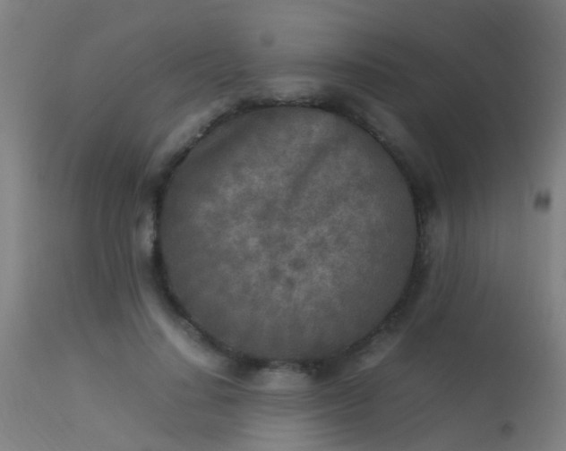 X0000113290644200909211104