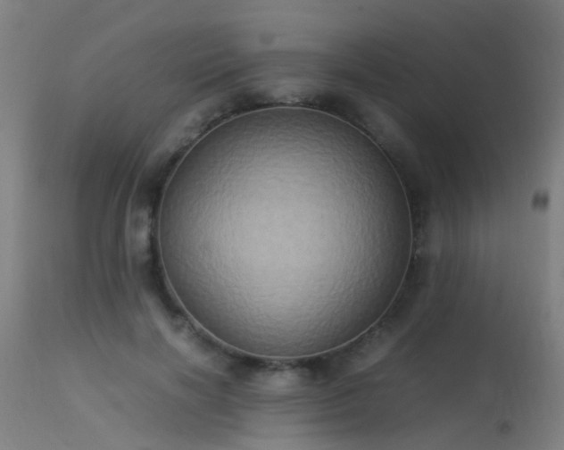 X0000113290646200909211104