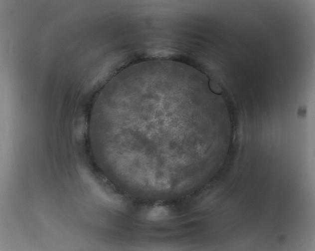 X0000113290647200909211104