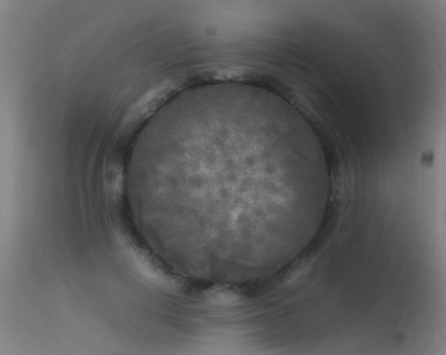 X0000113290648200909211104