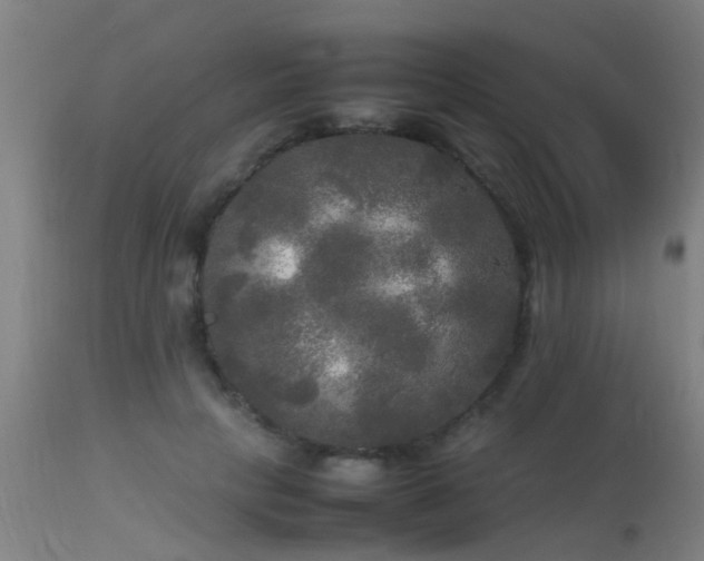 X0000113290649200909211104