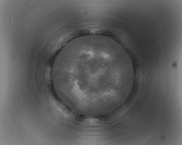 X0000113290650200909211105