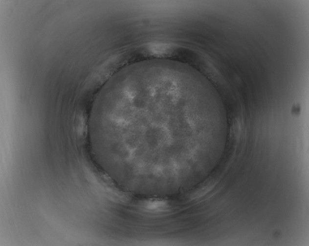 X0000113290651200909211105