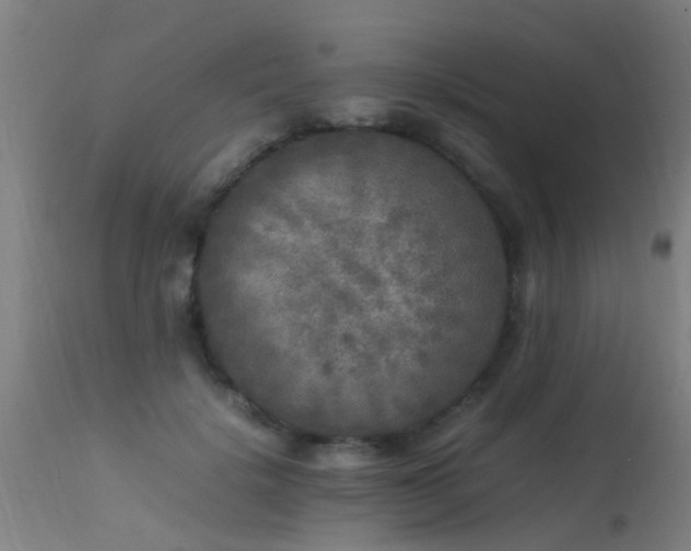 X0000113290652200909211105