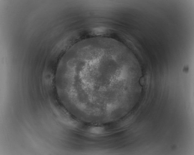 X0000113290653200909211105